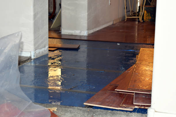 Professional Sewage Cleanup technician working in Great Lakes, IL